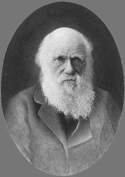 Darwin
