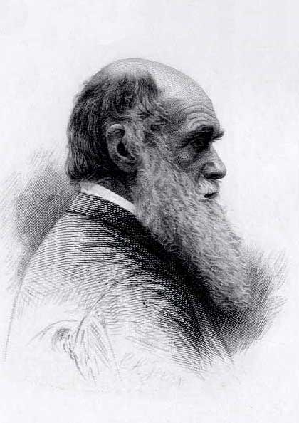 Darwin