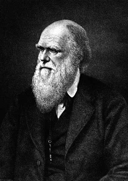 Darwin