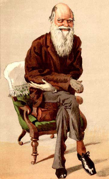 Darwin