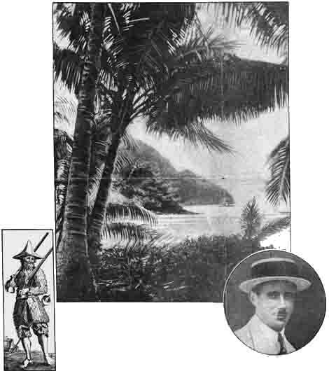 Floreana Palm Tree